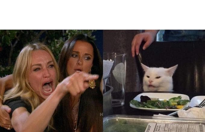 Women yelling at cat meme template