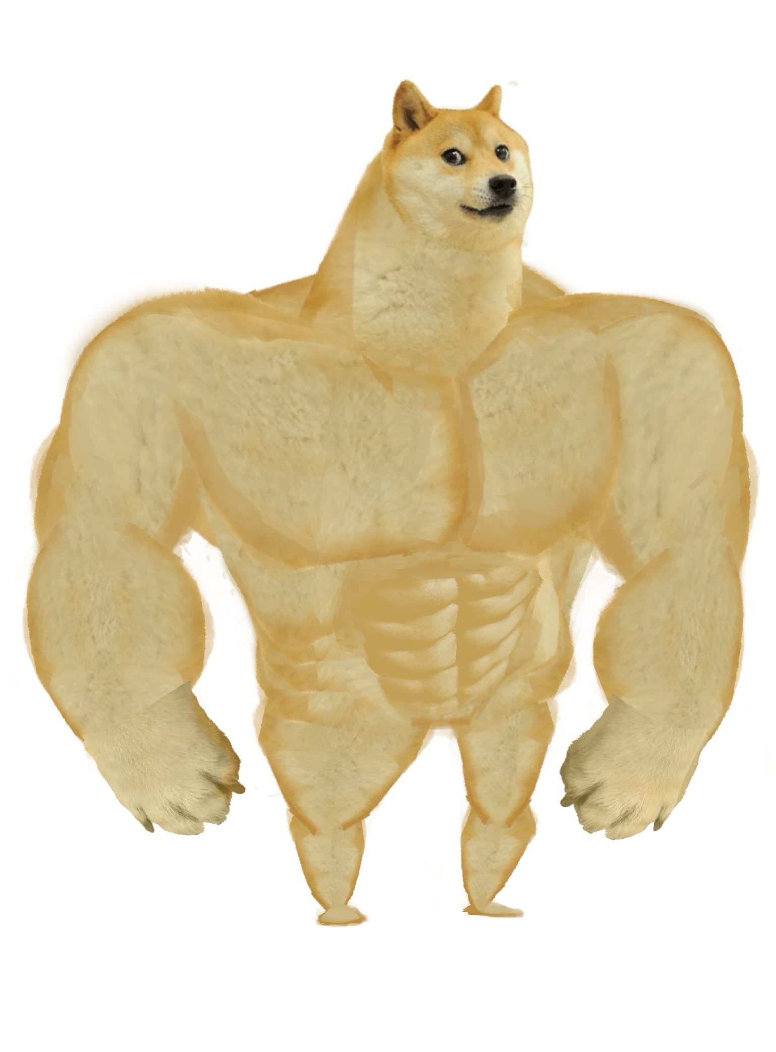 Bodybuilder doge meme template