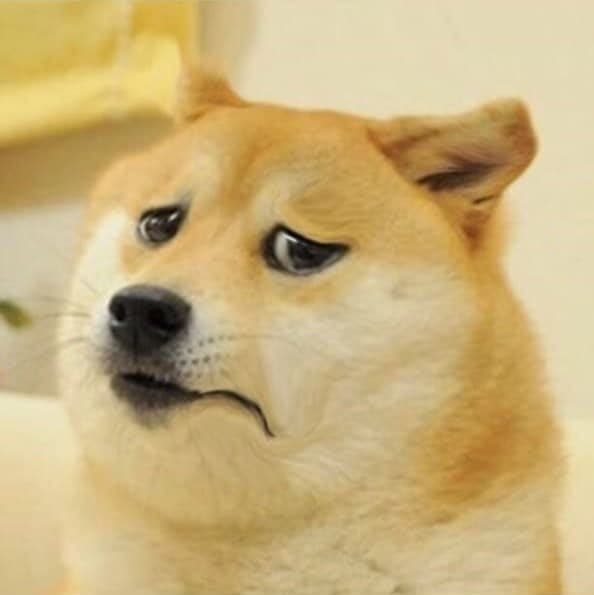 Unhappy doge meme template