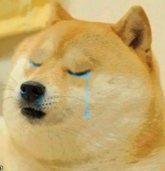 Crying doge meme template