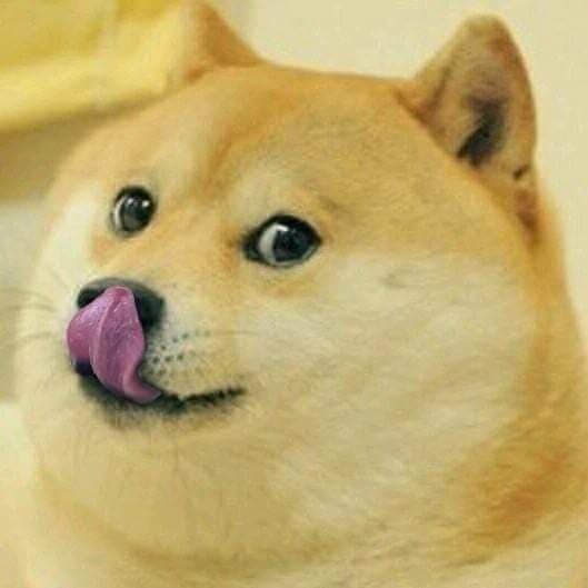 Doge licking meme template
