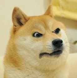 Angry doge meme template