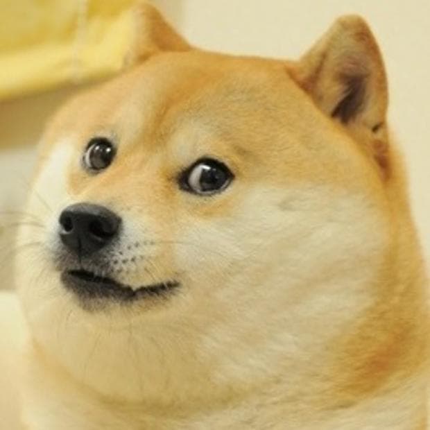 Doge smiling meme template