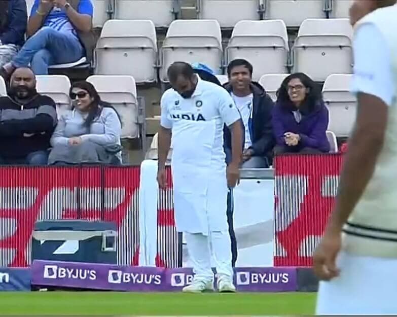 Shami wearing towel meme template