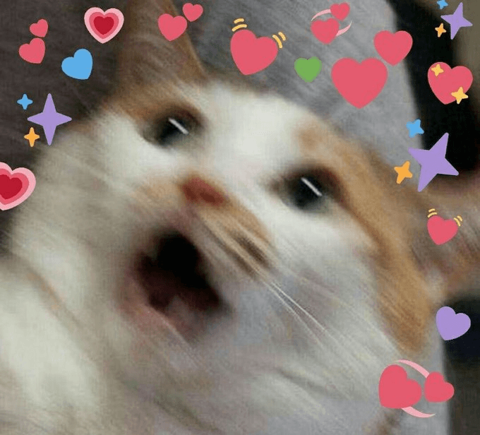 Cat blurred shock with hearts meme template