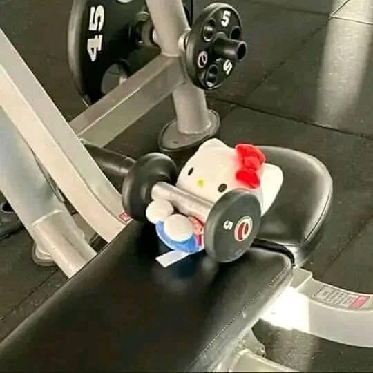 Pookie teddy going gym meme template