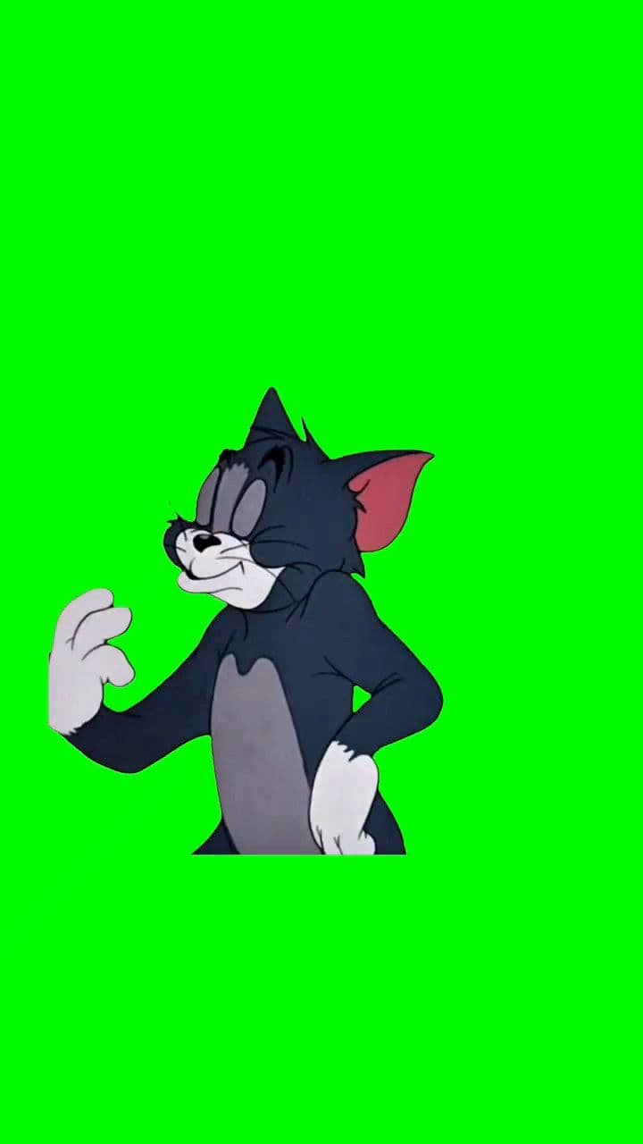 Tom green screen video meme template